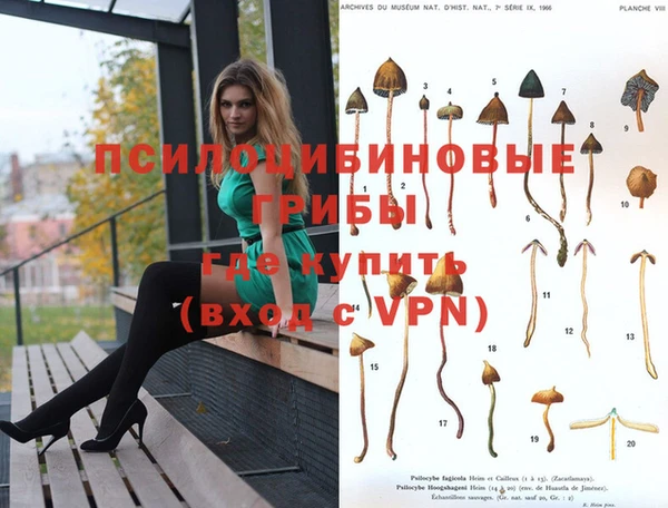 кокаин Верея
